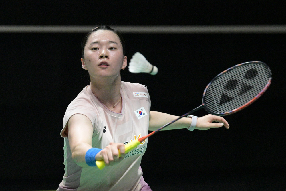 球迷希望看 球迷希望看