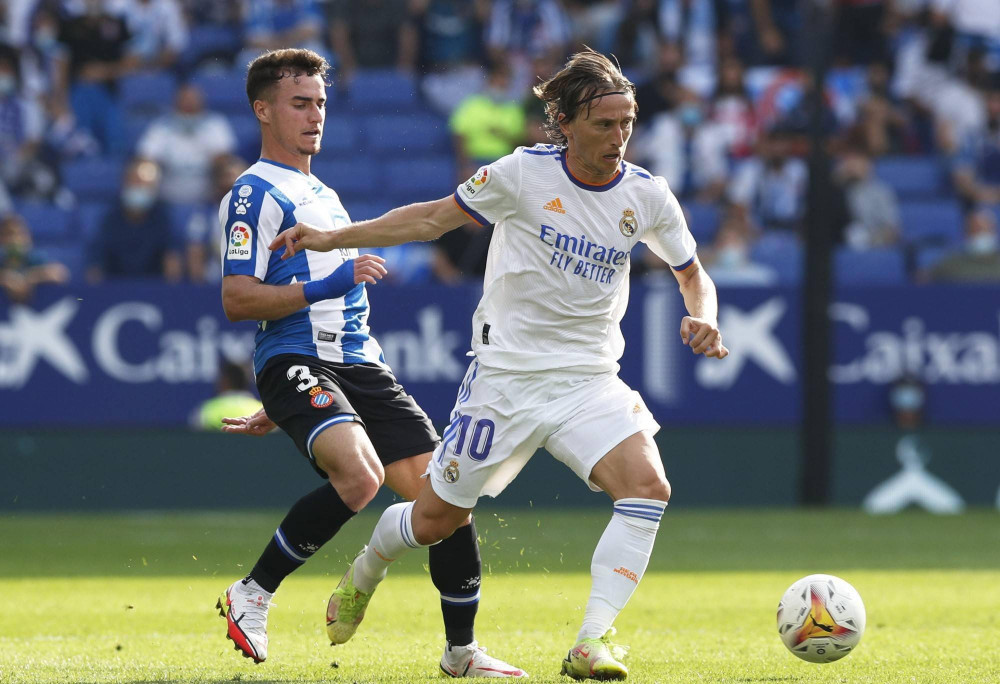 引发了广泛 引发了广泛