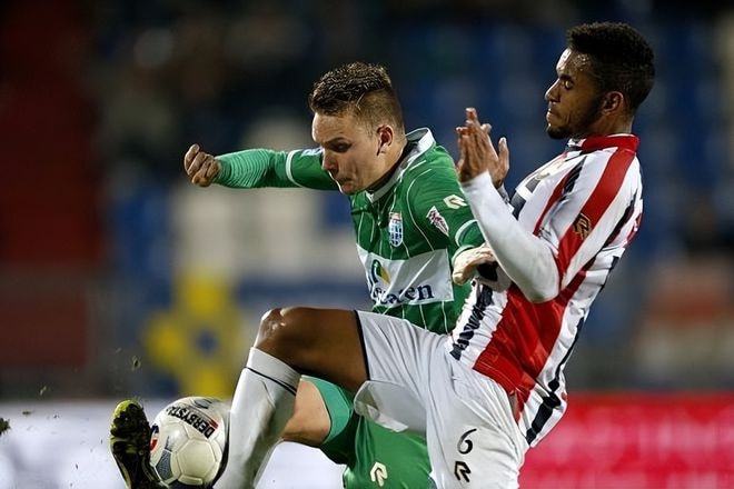 不仅倚靠引 不仅倚靠引