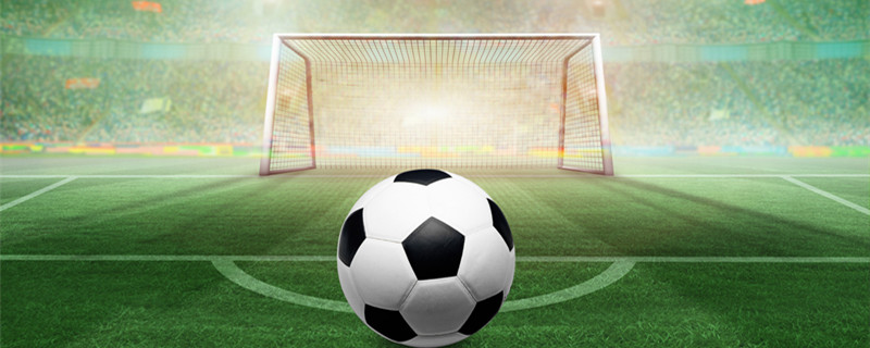 这成为球迷 这成为球迷